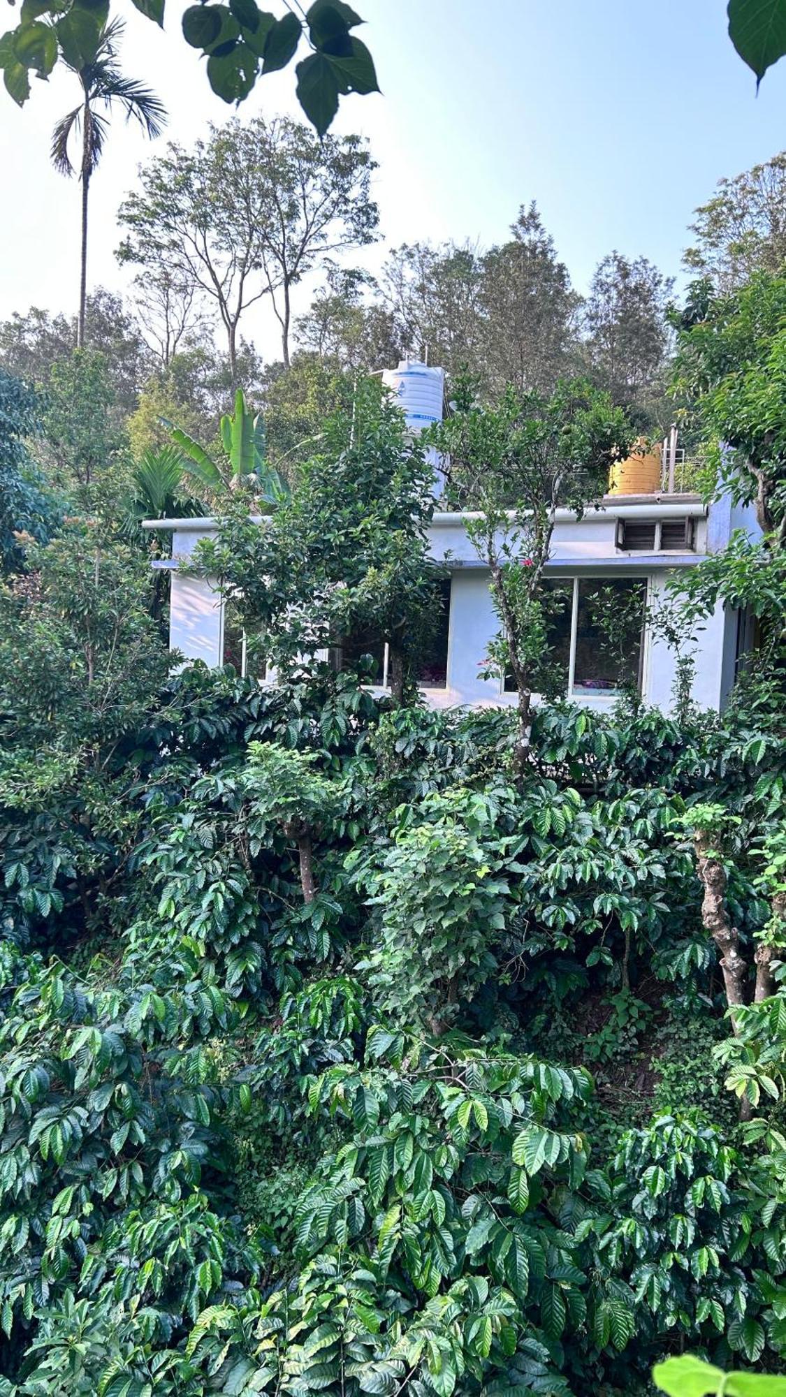 Doddakallu Betta Homestay Coorg Somvārpet Eksteriør bilde