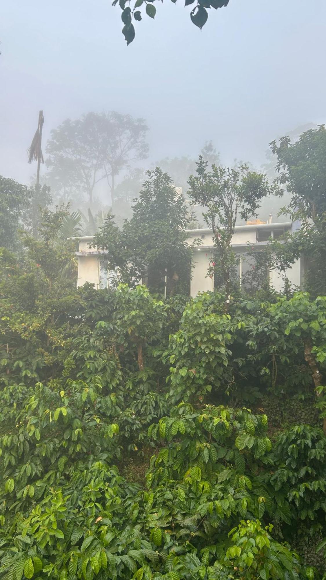 Doddakallu Betta Homestay Coorg Somvārpet Eksteriør bilde